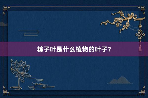 粽子叶是什么植物的叶子？